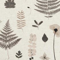 Herbarium Charcoal Natural Fabric by the Metre